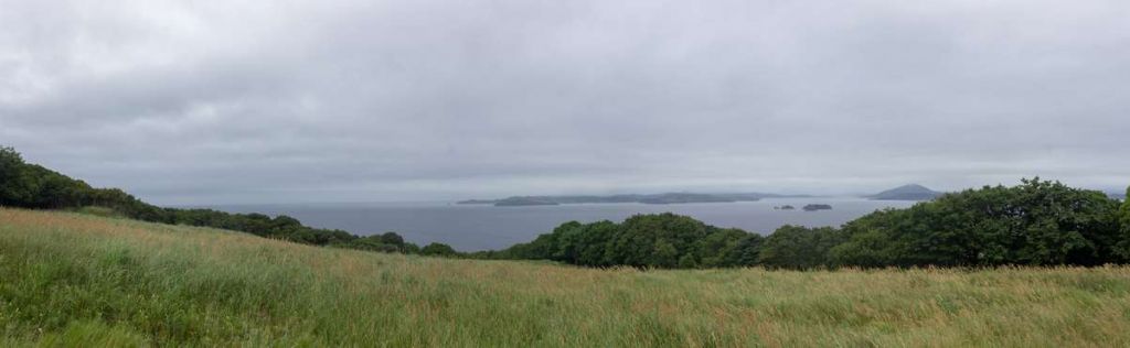 IMG 2987 Panorama