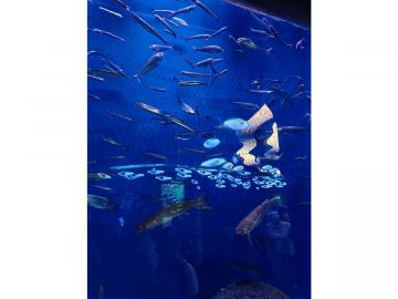 IMG 20230810 125056