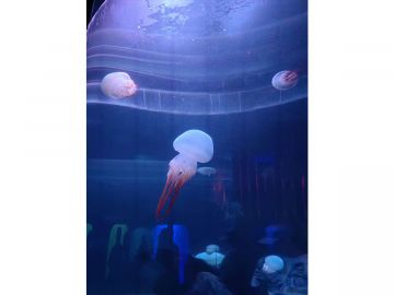 IMG 20230810 130322