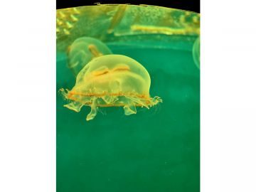 IMG 20230810 130410