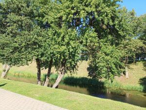 IMG 20250921 111424 149