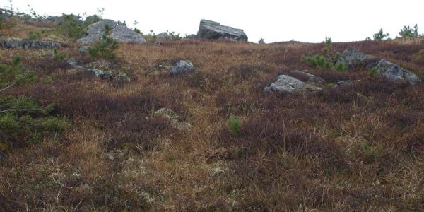 image056