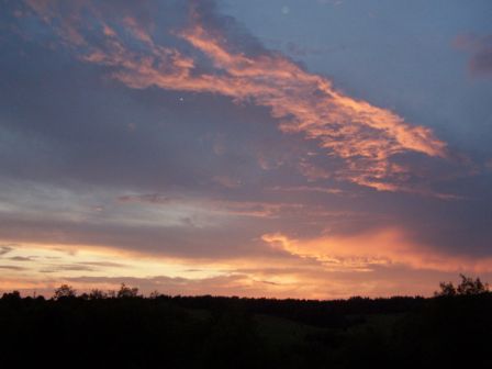 fest2011_001