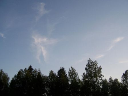 fest2011_005