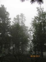 0114-tuman-2