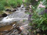 0117-rechka-8