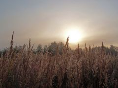 fbrusnika_001