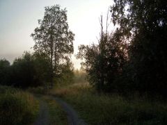 fbrusnika_003