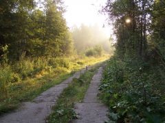 fbrusnika_006