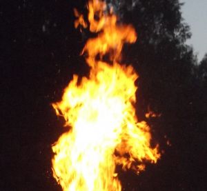 DSCF0760