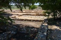 olynthos1